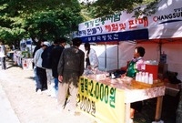 제8회백양단풍축제