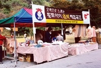 제8회백양단풍축제