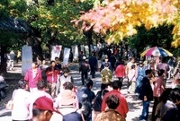 제8회백양단풍축제