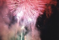 제8회백양단풍축제