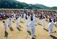 제6회홍길동축제(전통무술공...