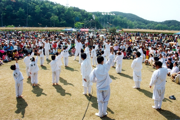 제6회홍길동축제(전통무술공연)