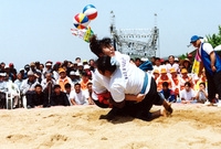 제6회홍길동축제(홍길동장사...