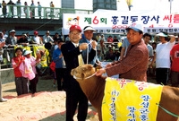 제6회홍길동축제(홍길동장사...
