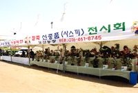 제6회홍길동축제(야생화전)