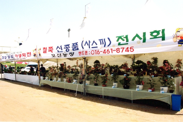 제6회홍길동축제(야생화전)