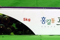 B.I 박스 - 홍길동 포...