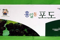 B.I 박스 - 홍길동 포...