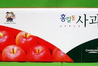 B.I 박스 - 홍길동 사...