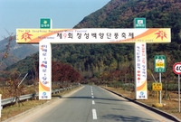 제9회 장성 백양단풍축제
