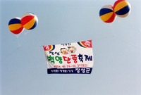 제9회 장성 백양단풍축제