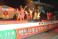 제9회 장성 백양단풍축제