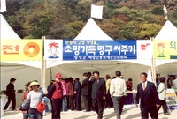 제9회 장성 백양단풍축제