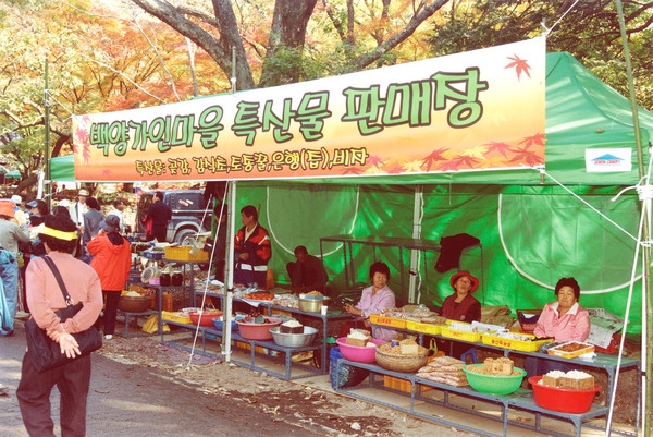 제9회 장성 백양단풍축제