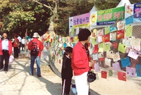 제9회 장성 백양단풍축제