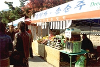 제9회 장성 백양단풍축제