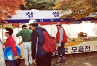 제9회 장성 백양단풍축제