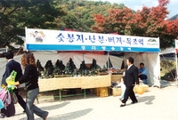 제9회 장성 백양단풍축제