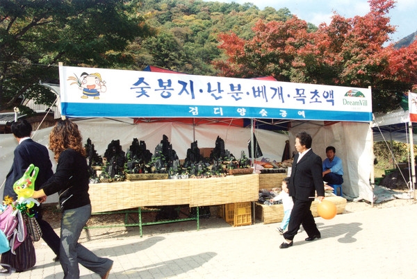 제9회 장성 백양단풍축제