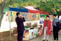 제9회 장성 백양단풍축제