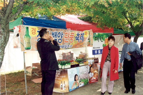 제9회 장성 백양단풍축제