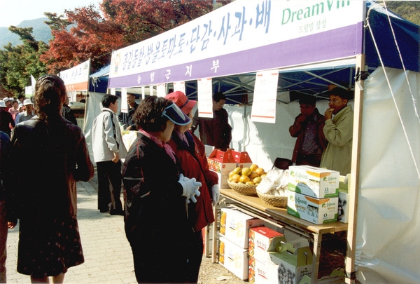 제9회 장성 백양단풍축제