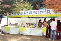 제9회 장성 백양단풍축제