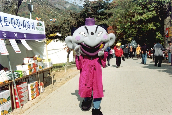 제9회 장성 백양단풍축제