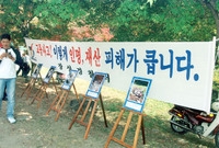 제9회 장성 백양단풍축제