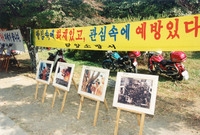 제9회 장성 백양단풍축제