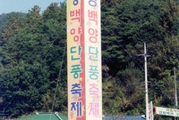 제9회 장성 백양단풍축제