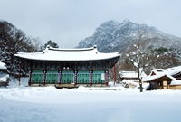 백양사 설경(대웅전)