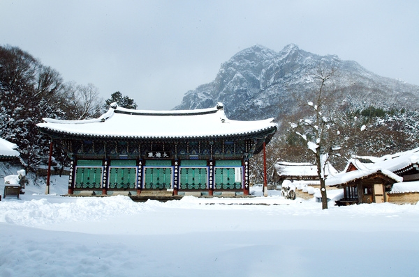 백양사 설경(대웅전)