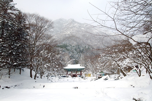 백양사 설경(쌍계루)