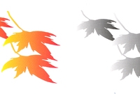 장성상징물 - C.I