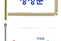 장성상징물 - C.I