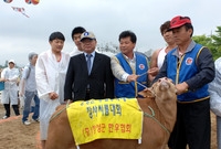 제7회홍길동축제(홍길동 장...