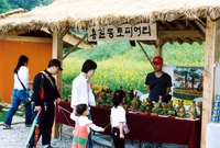 제7회홍길동축제(율도국테마...