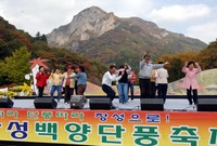 제10회 장성 백양단풍축제