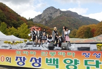 제10회 장성 백양단풍축제