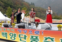 제10회 장성 백양단풍축제
