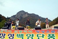 제10회 장성 백양단풍축제