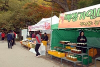 제10회 장성 백양단풍축제