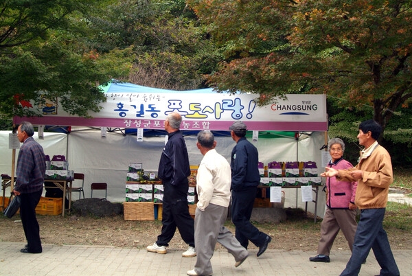 제10회 장성 백양단풍축제