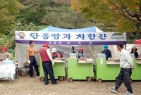 제10회 장성 백양단풍축제