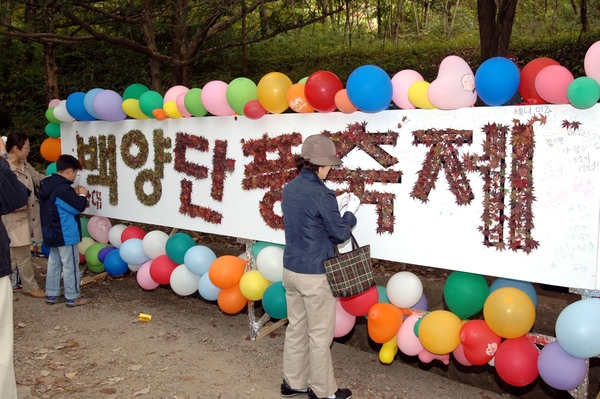 제10회 장성 백양단풍축제