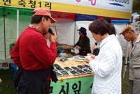 제10회 장성 백양단풍축제