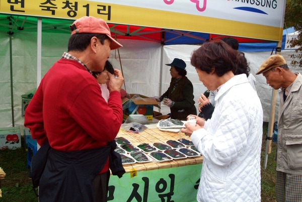 제10회 장성 백양단풍축제