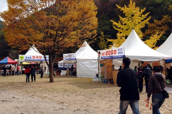 제10회 장성 백양단풍축제
