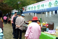 제10회 장성 백양단풍축제